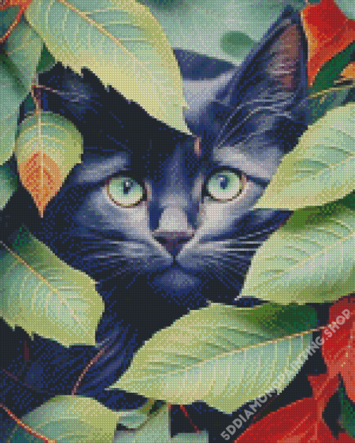 Black Cat Diamond Painting