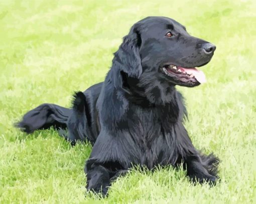 Black Golden Retriever Animal Diamond Painting