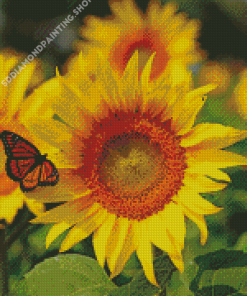 Orange Butterfly On Sunflower Diamond Painting