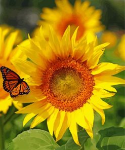 Orange Butterfly On Sunflower Diamond Painting