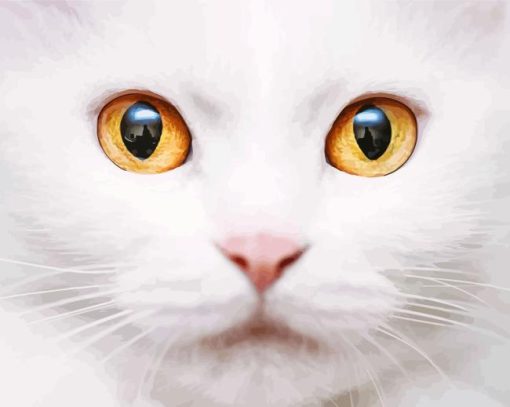 Orange Eye White Cat Diamond Painting