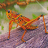 Red Grasshopper Diamond Painting