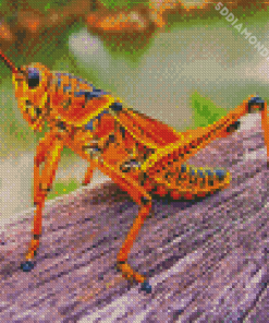 Red Grasshopper Diamond Painting