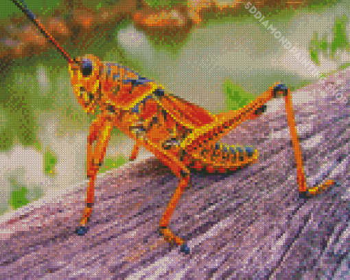 Red Grasshopper Diamond Painting