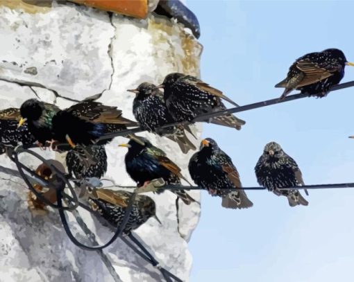 Starling Birds On Power Lines Diamond Painting