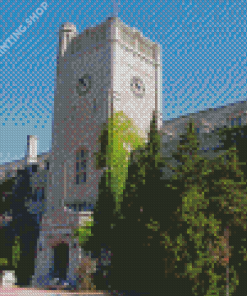 University Of Guelph Canada Diamond Painting