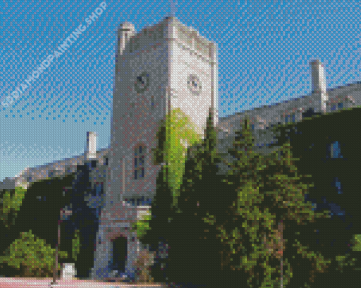 University Of Guelph Canada Diamond Painting