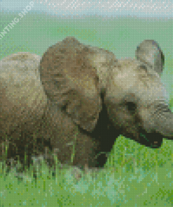 Wild Baby Elephant Diamond Painting