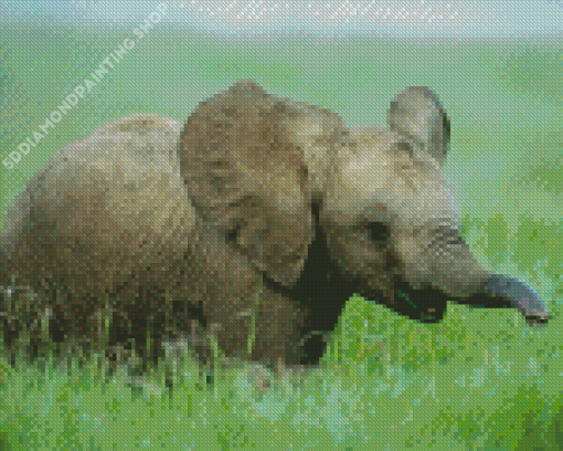 Wild Baby Elephant Diamond Painting