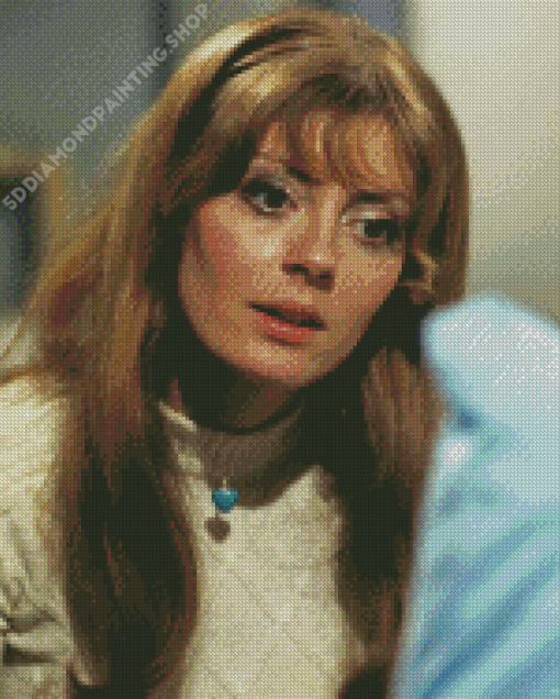 Young Susan Sarandon Diamond Painting