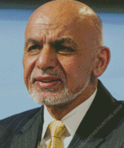 Ashraf Ghani Diamond Painting