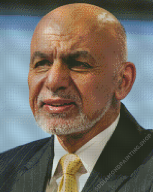 Ashraf Ghani Diamond Painting