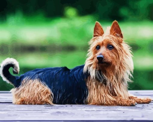 Australian Terrier Puppy Diamond Painting