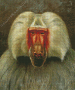 Baboon Animal Diamond Painting