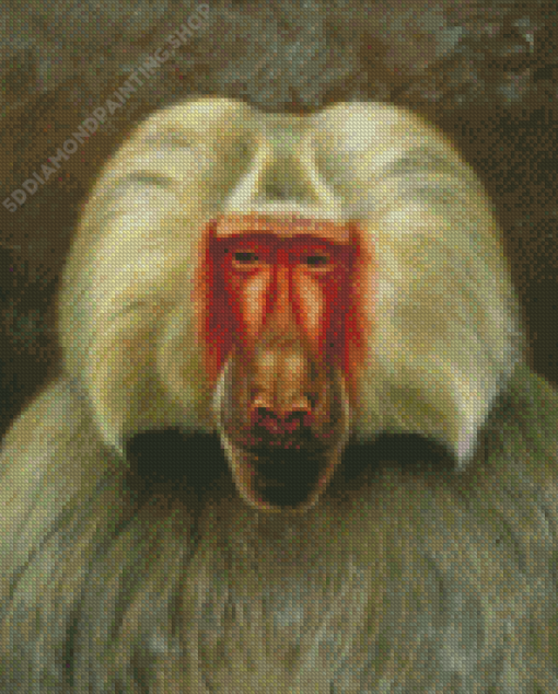 Baboon Animal Diamond Painting