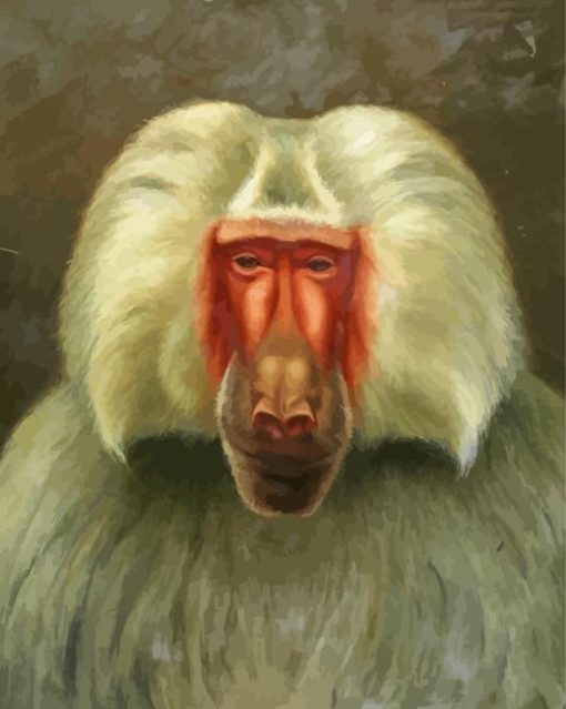 Baboon Animal Diamond Painting