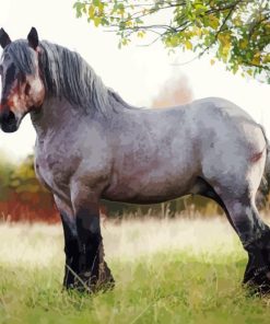 Belgian Trait Horse Diamond Painting