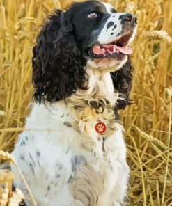 Black And White Spaniel Diamond Painting