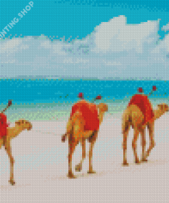 Camels At Mombasa Beach Diamond Painting