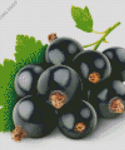 Blackcurrant Diamond Painting