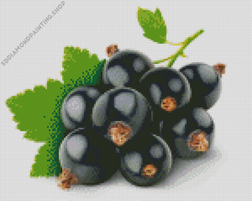 Blackcurrant Diamond Painting