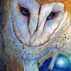 Labyrinth Owl Diamond Painting