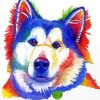 Alaskan Malamute Artwork Diamond Painting