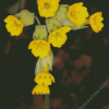 Cowslip Flowers Primula Veris Diamond Painting