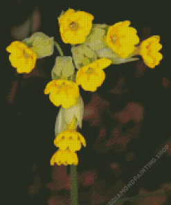 Cowslip Flowers Primula Veris Diamond Painting