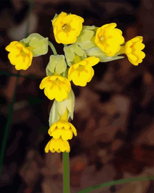 Cowslip Flowers Primula Veris Diamond Painting