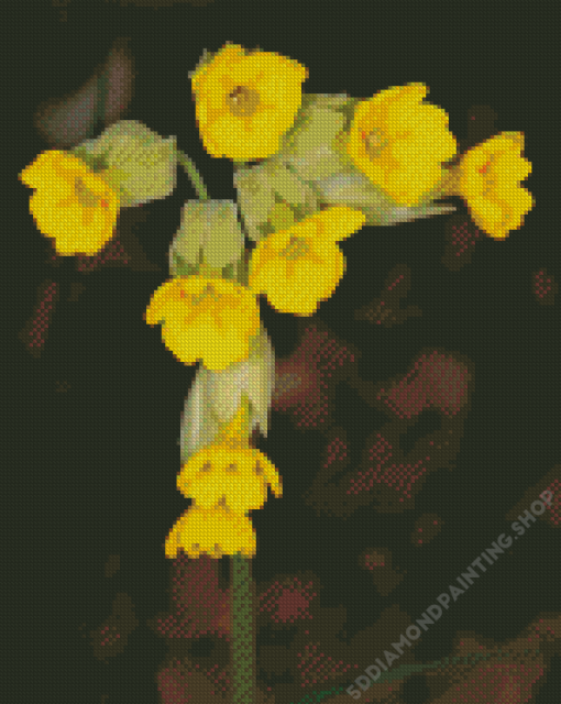 Cowslip Flowers Primula Veris Diamond Painting