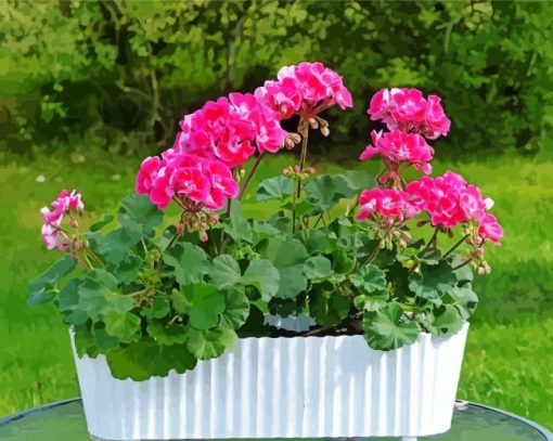 Geraniums In White Pot Diamond Painting
