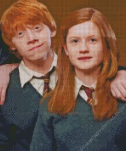 Ginny Weasley And Ron Diamond Painting