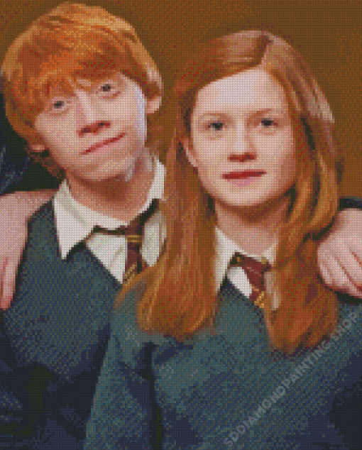 Ginny Weasley And Ron Diamond Painting