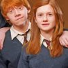 Ginny Weasley And Ron Diamond Painting