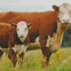 Hereford Cows Animals Diamond Painting