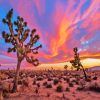 Joshua Tree National Park Diamond Painting