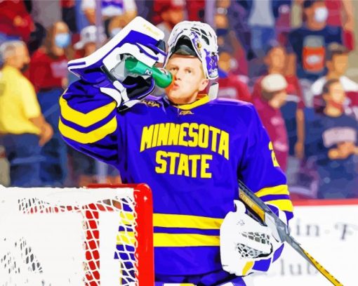 Minnesota State Hockey Player Diamond Painting