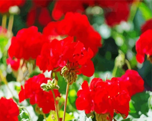 Red Geranium Flowers Diamond Painting