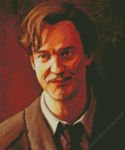 Remus Lupin Diamond Painting