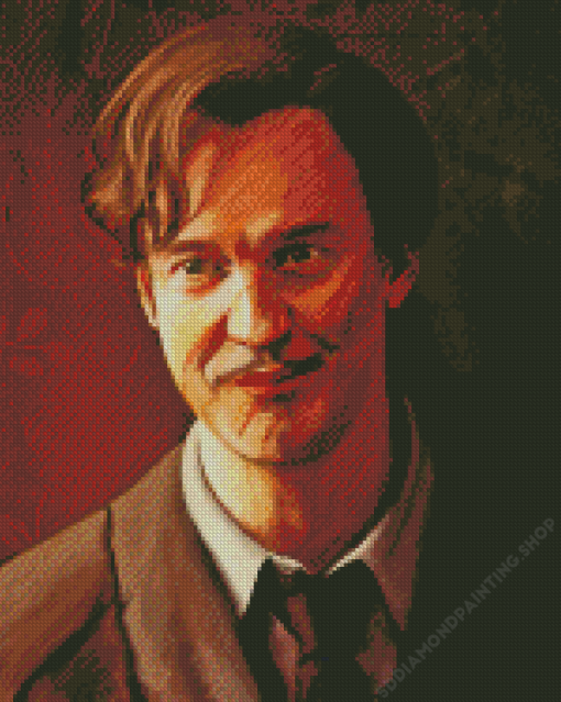 Remus Lupin Diamond Painting