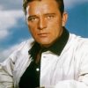 Richard Burton Diamond Painting