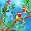 Rosella Birds Art Diamond Painting