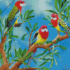 Rosella Birds Art Diamond Painting