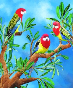 Rosella Birds Art Diamond Painting