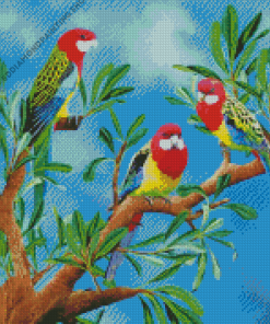 Rosella Birds Art Diamond Painting