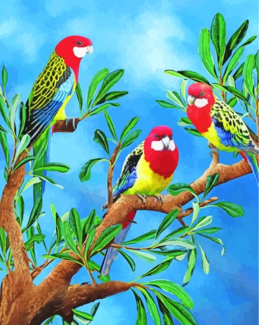 Rosella Birds Art Diamond Painting