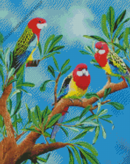 Rosella Birds Art Diamond Painting