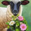 Sheep And Flowers Diamond Painting