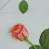 Single Pink Rose On Table Diamond Painting